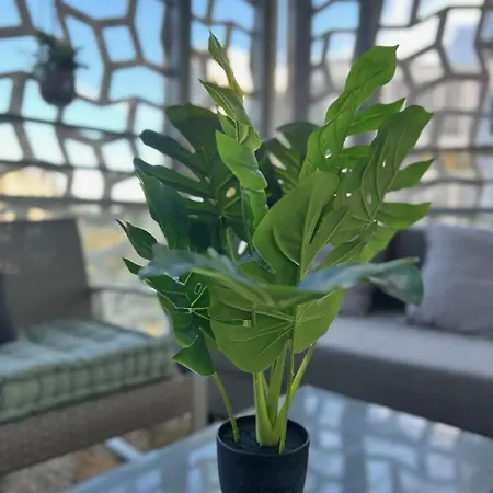 Cosy - Port Marianne - Garage Sous Sol *